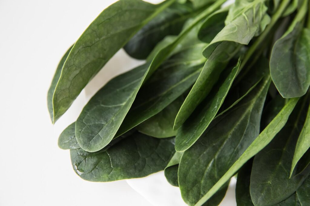 high magnesium rich foods