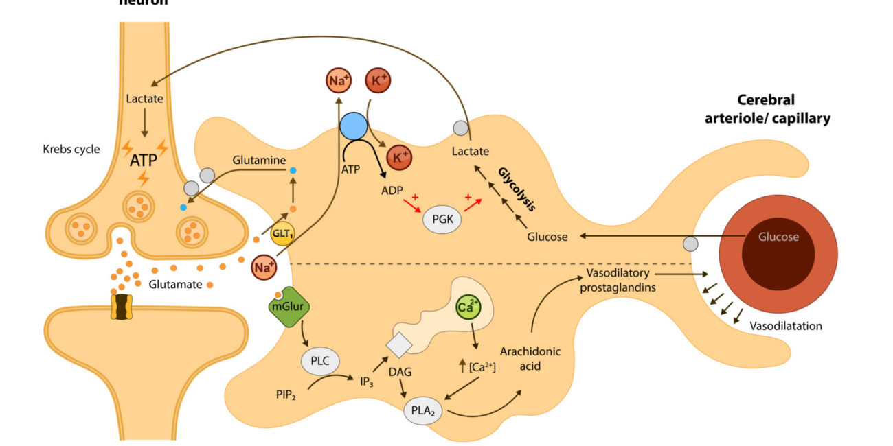 can we take creatine without workout
