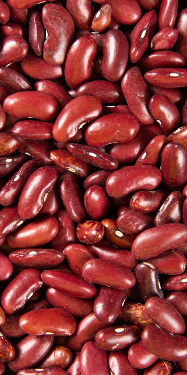 kidney beans protein per 100g